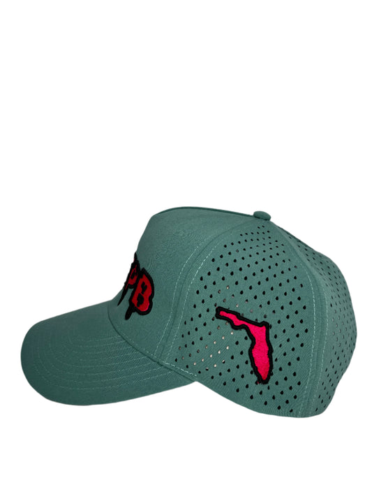 NMFPB Miami Vice Limited Edition Performance Snapback